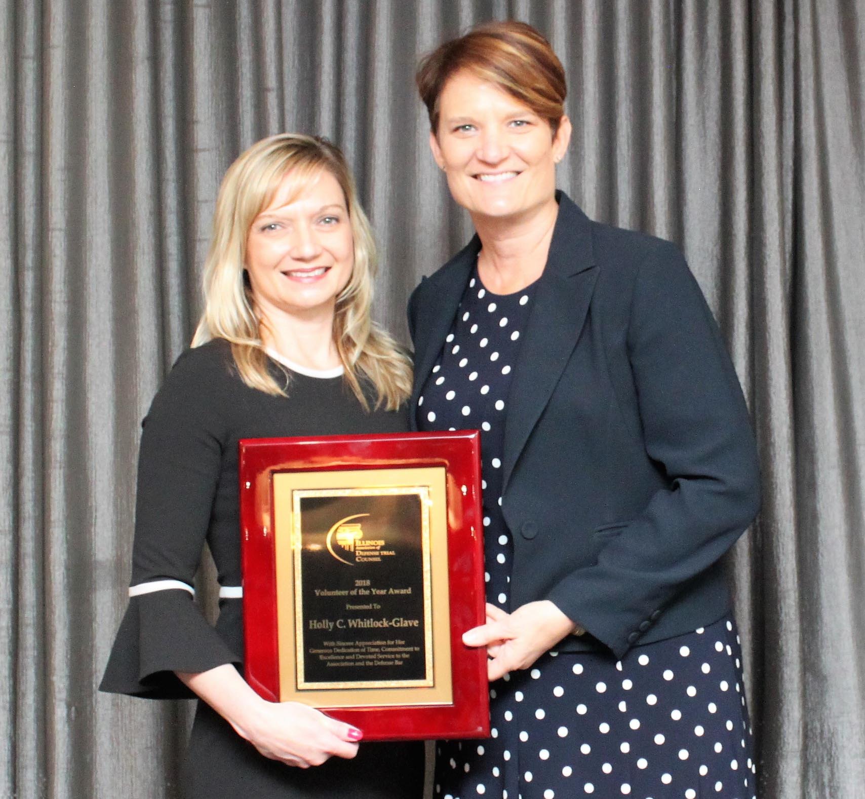 HeplerBroom attorney Holly Whitlock-Glave receiving Volunteer of the Year Award from IDC Executive Director Sandra Wulf