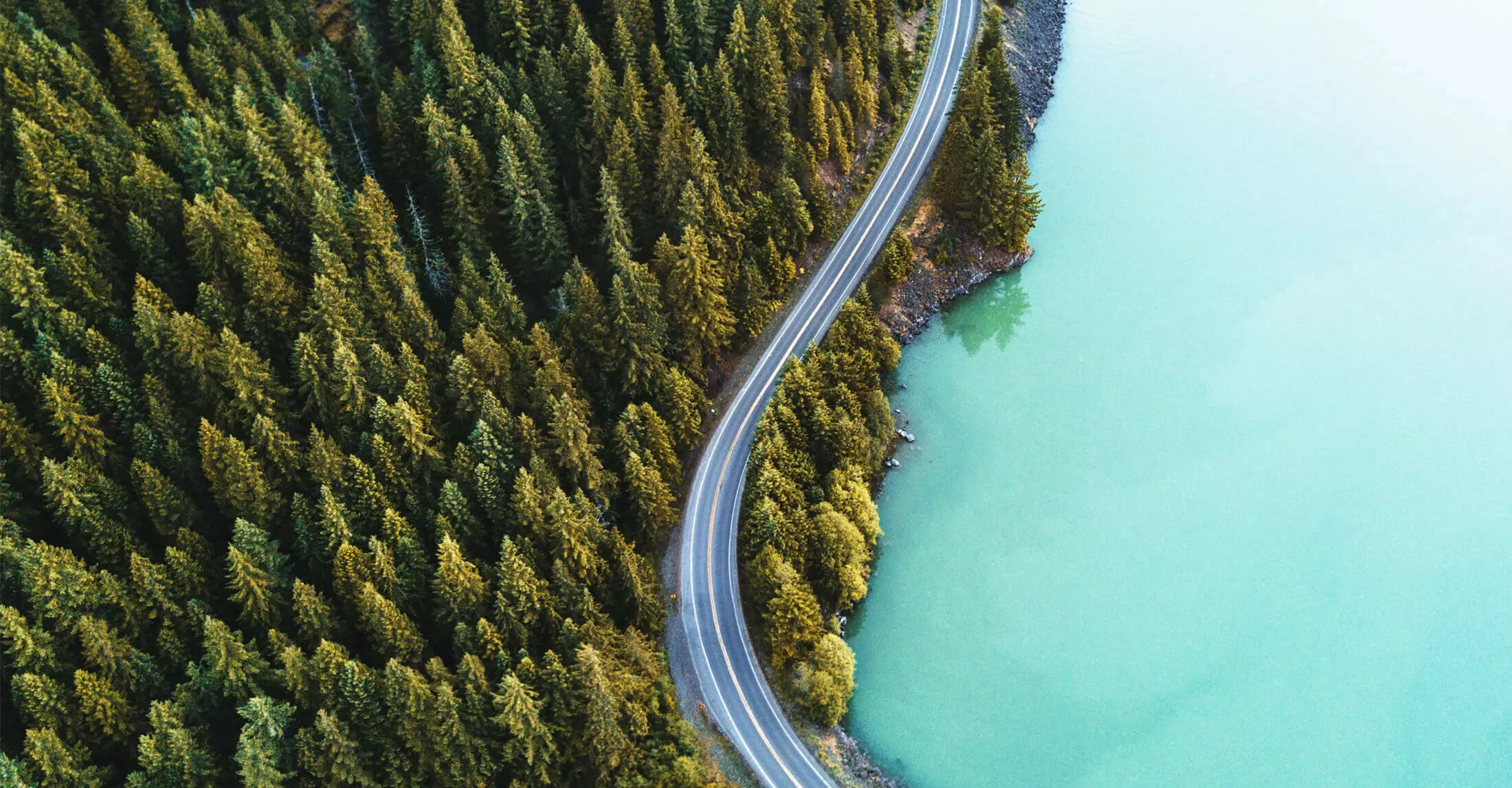 Aerial view of forest next to ocean, with curving 2-lane highway following close to shoreline