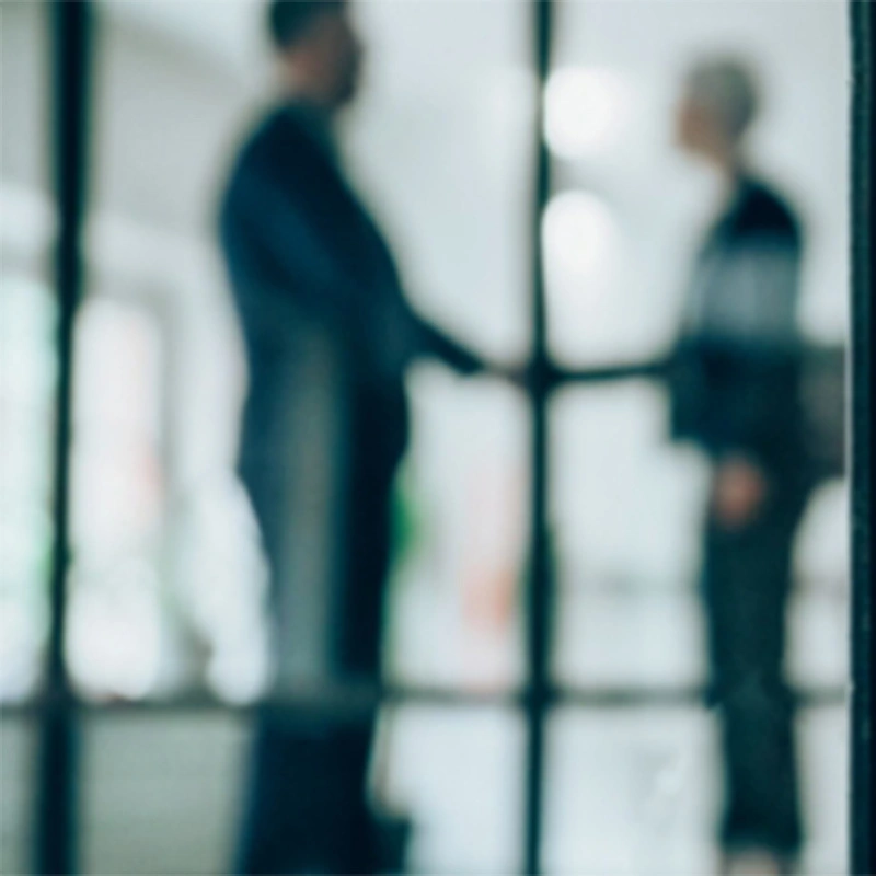 blurred image of a window with grids in it